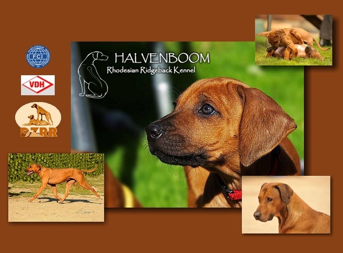 Bitte klicken zum Betreten der Webseite